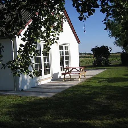 Glenholm Vingard *